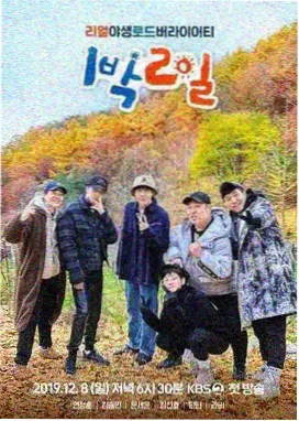 城市漫游者 旅行纪实综艺在线免费观看